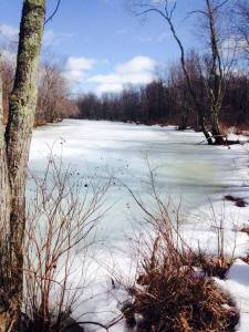 Winterrefuge
